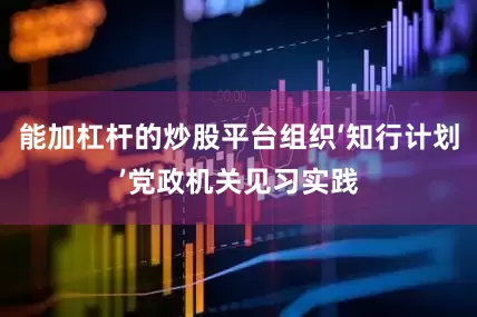 能加杠杆的炒股平台组织‘知行计划’党政机关见习实践