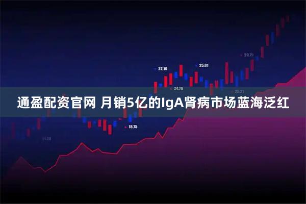通盈配资官网 月销5亿的IgA肾病市场蓝海泛红